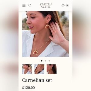 New Twisted Silver Carnelian Necklace and Earring Set